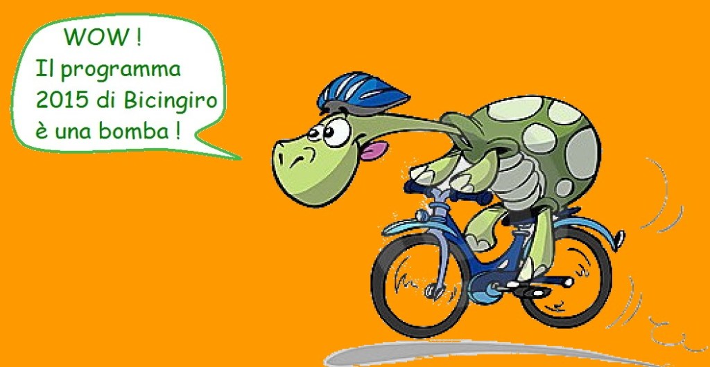 Copia di tartaruga-della-bici-8282067